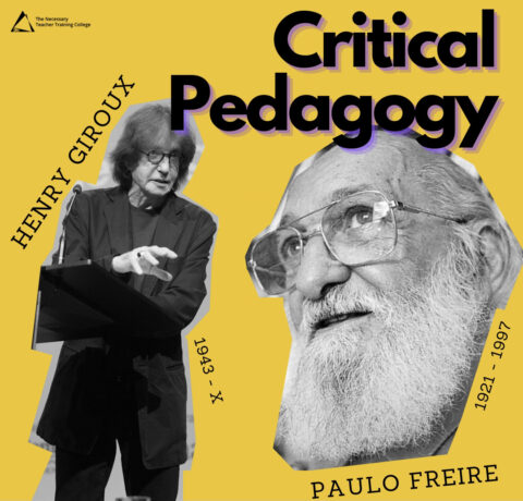 critical thinking and teacher education pedagogy