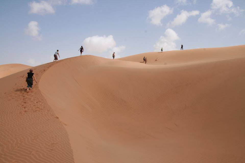 Meet the Dunes